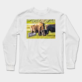 Bison at Yellowstone Long Sleeve T-Shirt